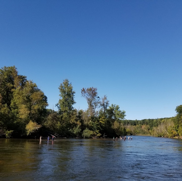 Meet your Posher, Duane - Picture 1 of 1